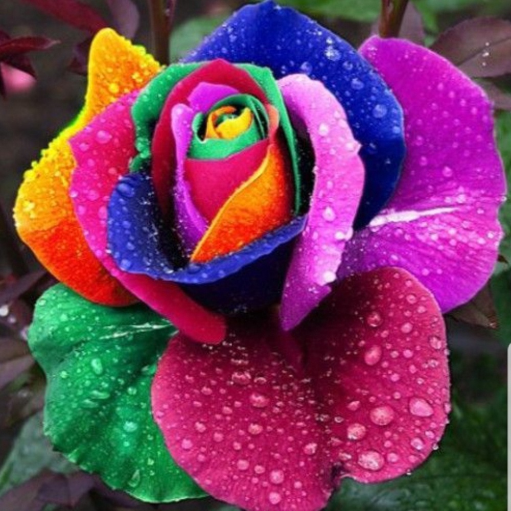 Hello everyone!